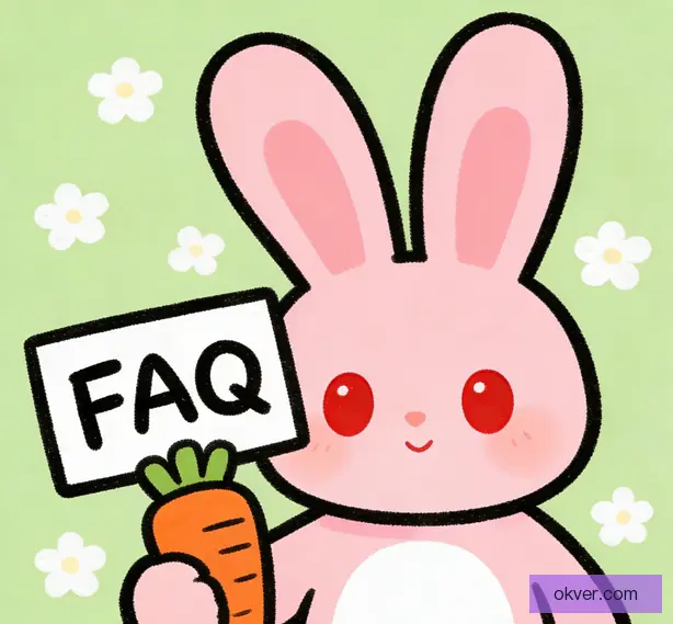 常见问题